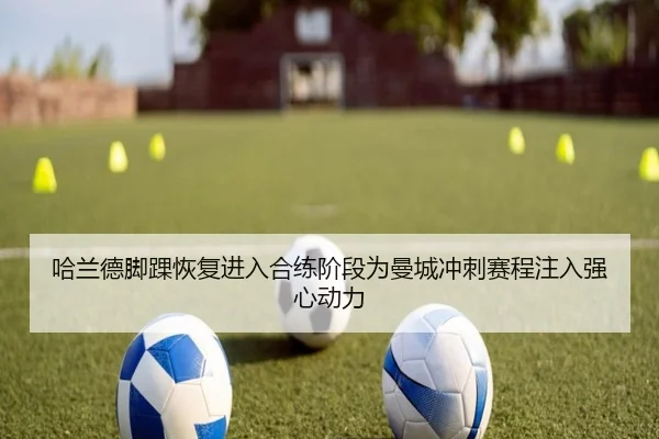 ha-lan-de-jiao-huai-hui-fu-jin-ru-he-lian-jie-duan-wei-man-cheng-chong-ci-sai-cheng-zhu-ru-qiang-xin-dong-li-2-792.jpg